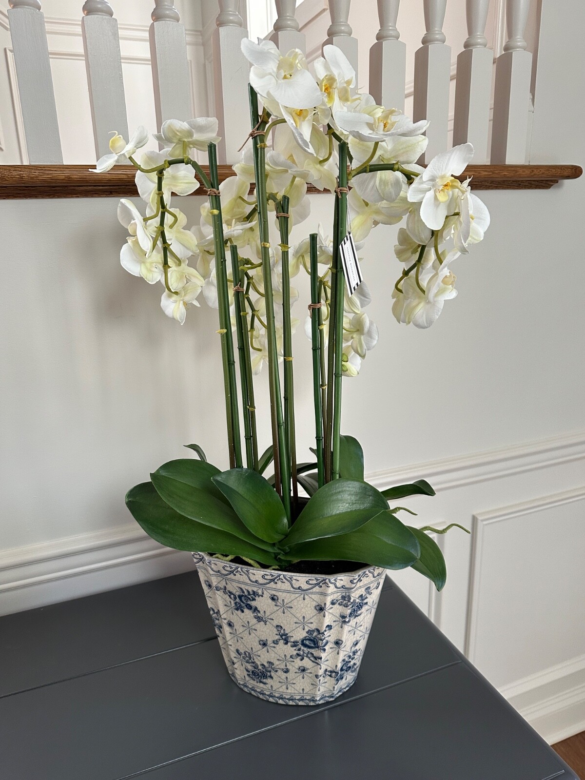Faux White Orchids in Crackled Glazed Ivory & Blue Ceramic Cache Pot 32″x18″x11″