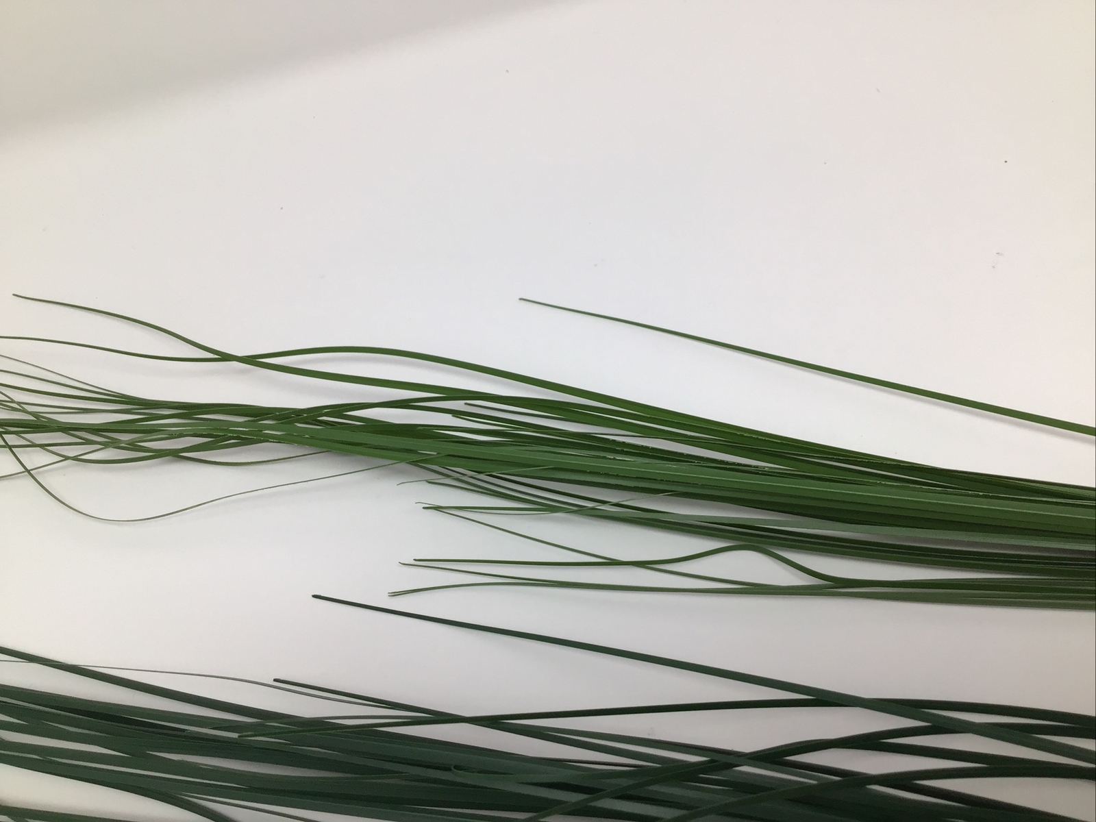 Onion Grass Floral Pick Green 27” Arrangement Basket Filler 2 Picks NOS