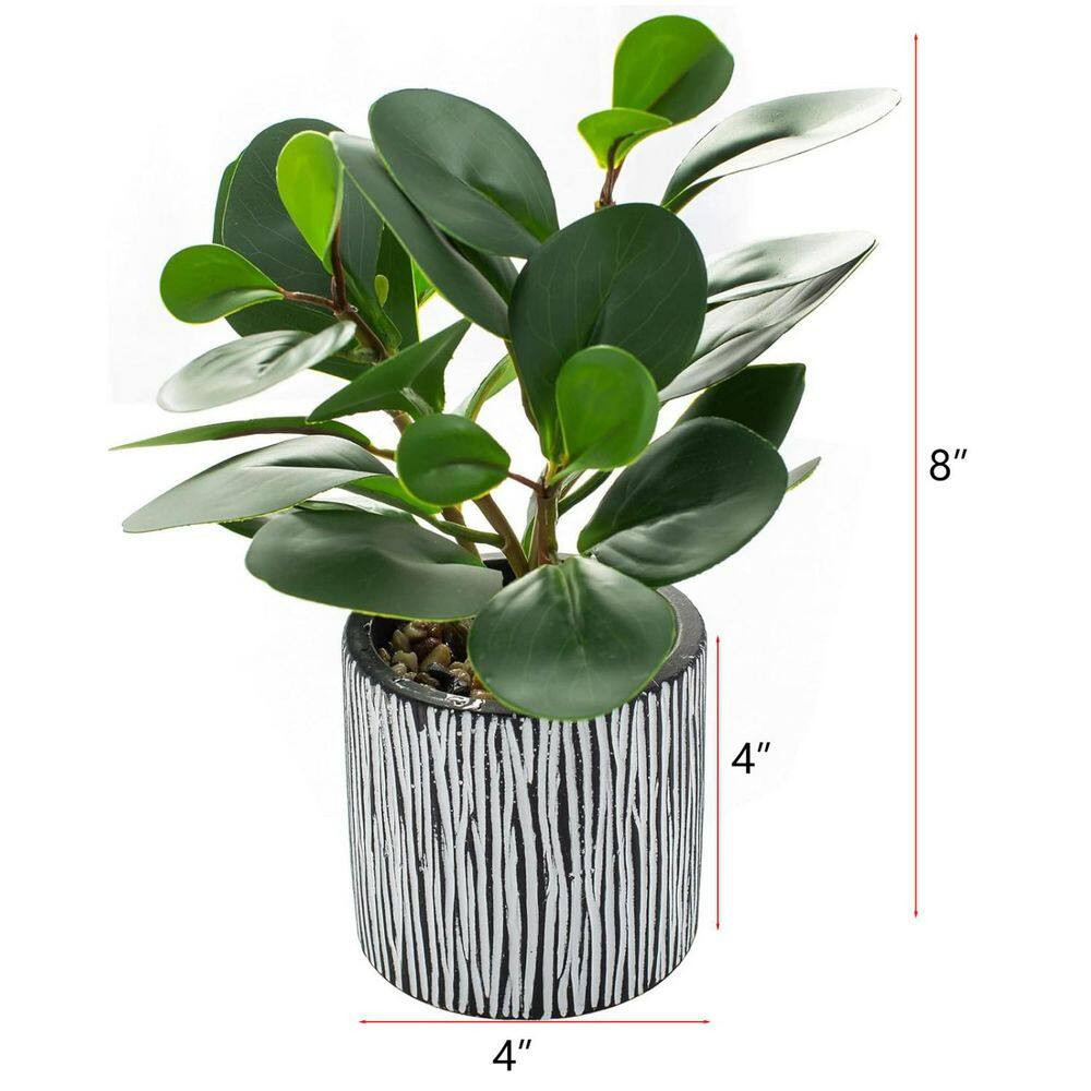 Artificial Plants Decor