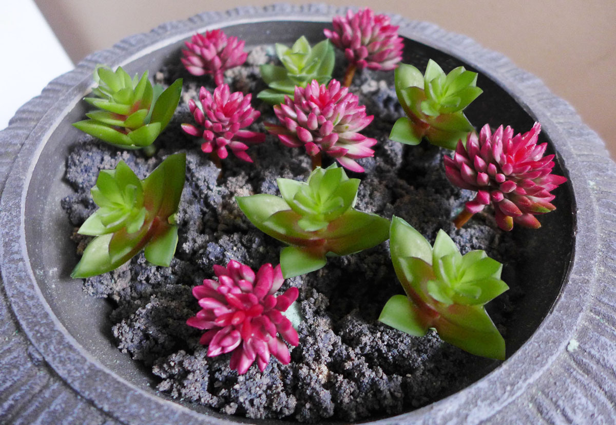 Artificial Grass Miniature Succulents Plants Red Autumn Lotus Stone 12 Pcs (M24)