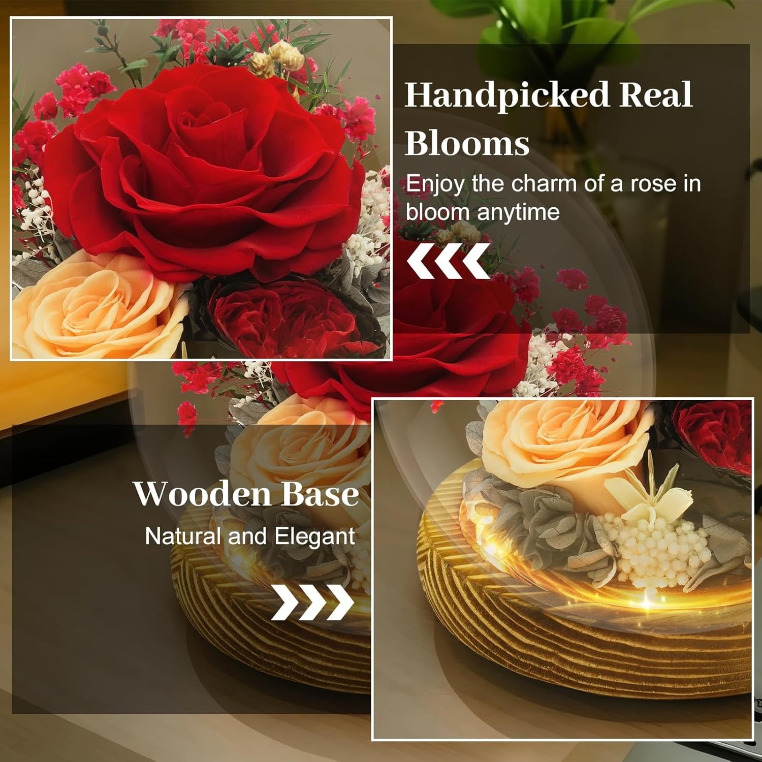 Preserved Flowers Birthday Gifts for Women Preserved Rose in Glass Dome Forever