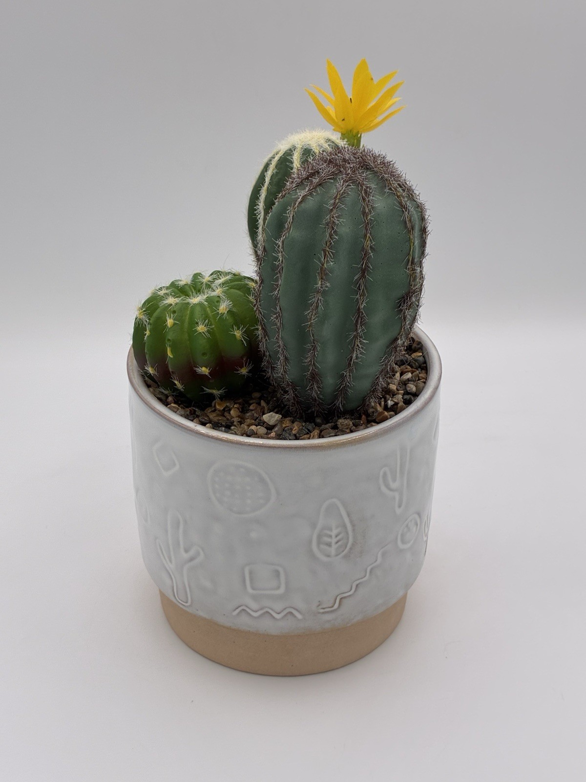Garden Party Faux Cactus Arrangement Ceramic Etched Planter 9″ Walgreens #738996