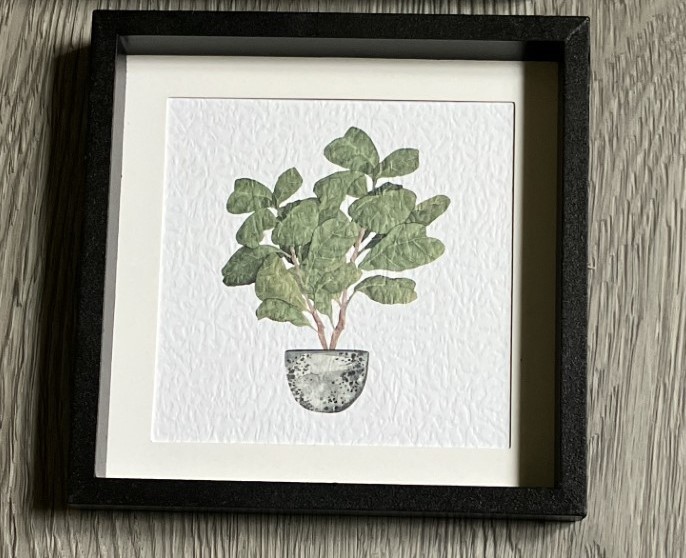 Set of 3 Small Plant Botanical Pictures 6″ x 6″ each – NEW!