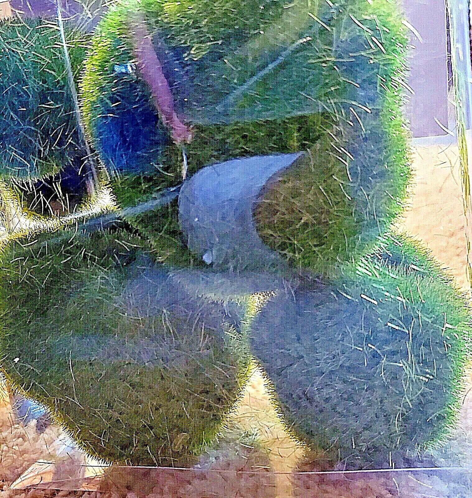 8 pc. Pkg. FAUX MOSS COVERED ROCKS for Landscaping or FAIRY GARDENS by DARICE