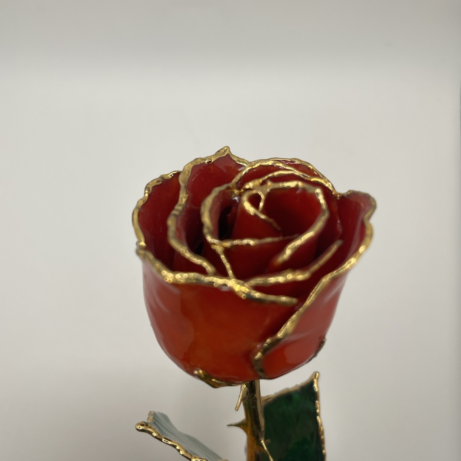 Genuine Real Rose Trimmed In 24 Kt. Gold Long Stem Rose Red Rose Green Leaves
