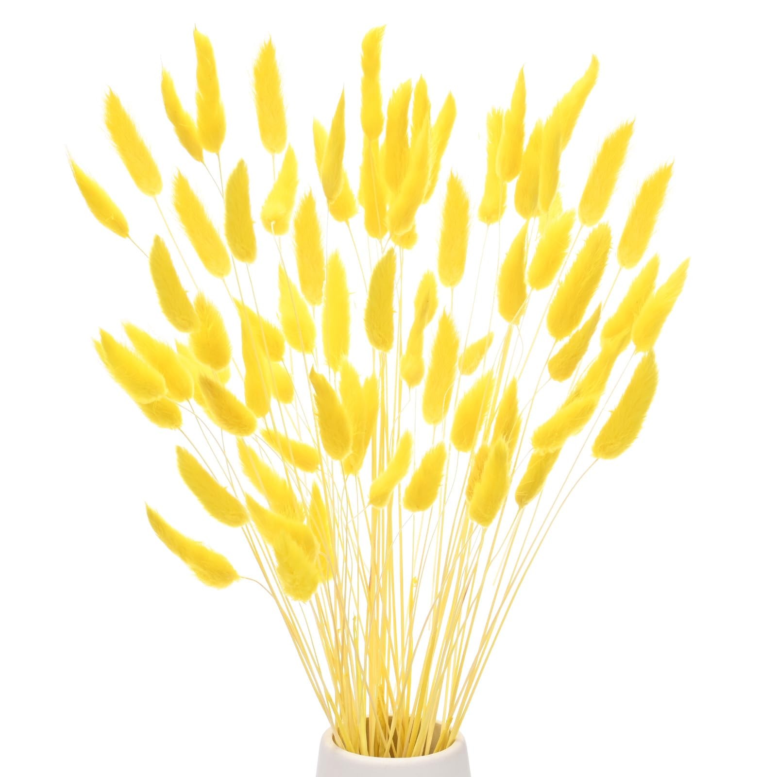 60 PCS Bunny Tails Grass 17 Inch Fluffy Rabbit Dried Flowers Branches Golden