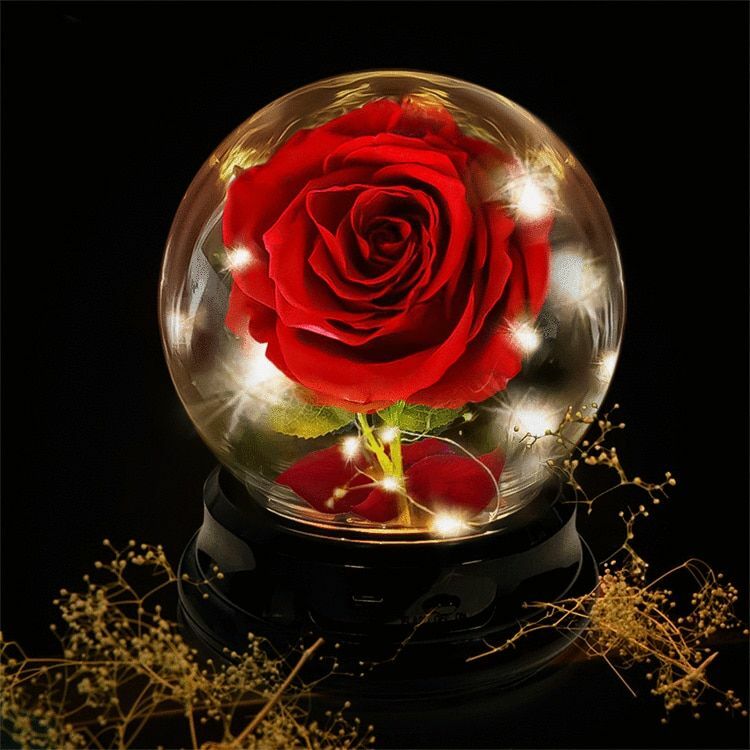 Flower Rose Preserved In Glass Mothers Day Birthday Gift Womens Girls Home Decor