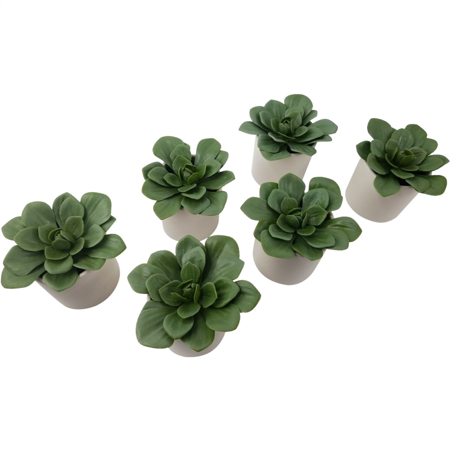 Artificial Dudleya Succulent by Project 62 In White Pot 4.5″ x 4″- LOT OF 6 New