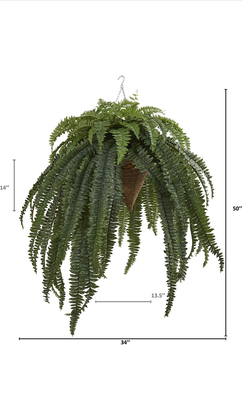 50” Giant Boston Fern Plant in Hanging Cone Basket Home Decor. Retail $226