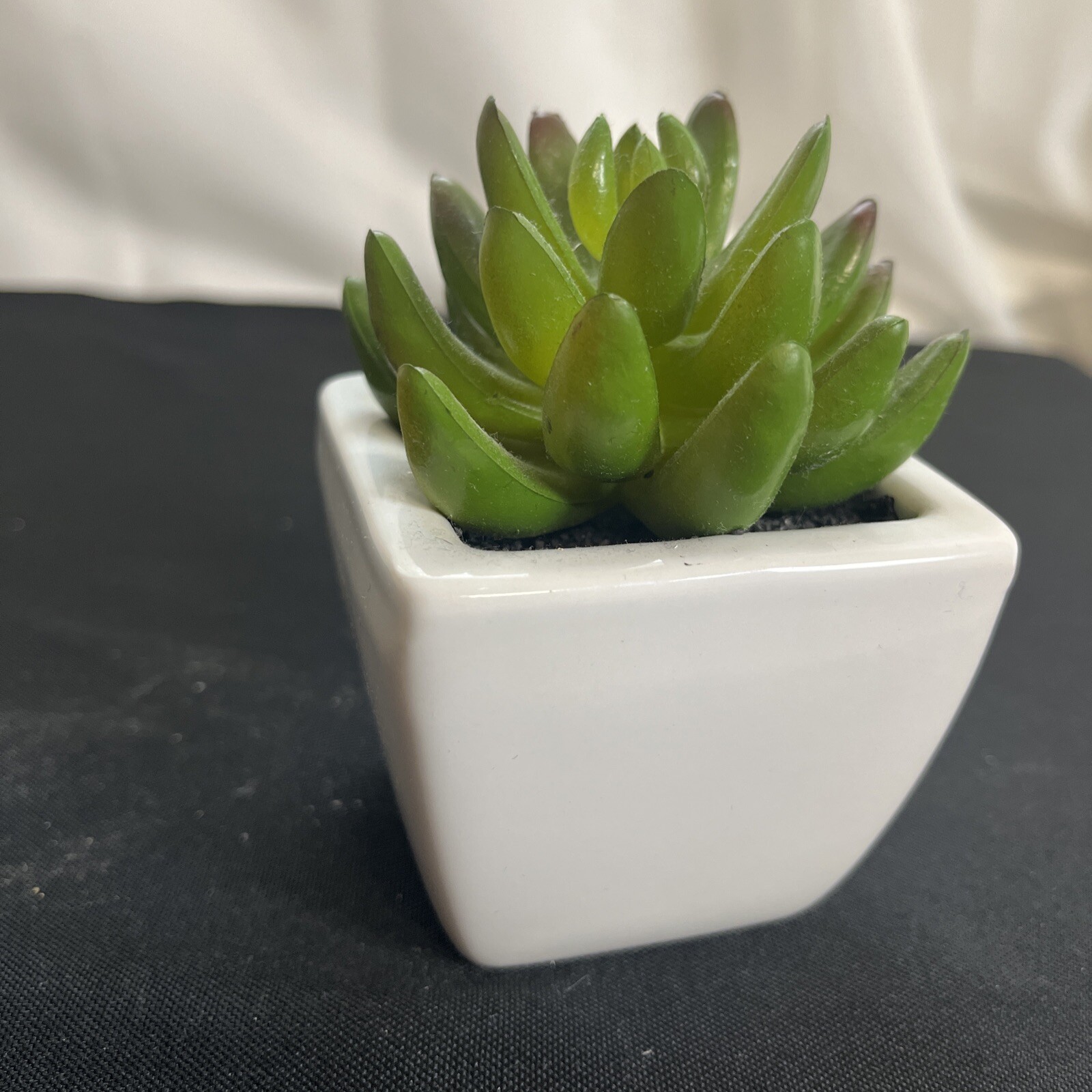 Decorated Brand Small Faux Succulent Plant White Ceramic Pot