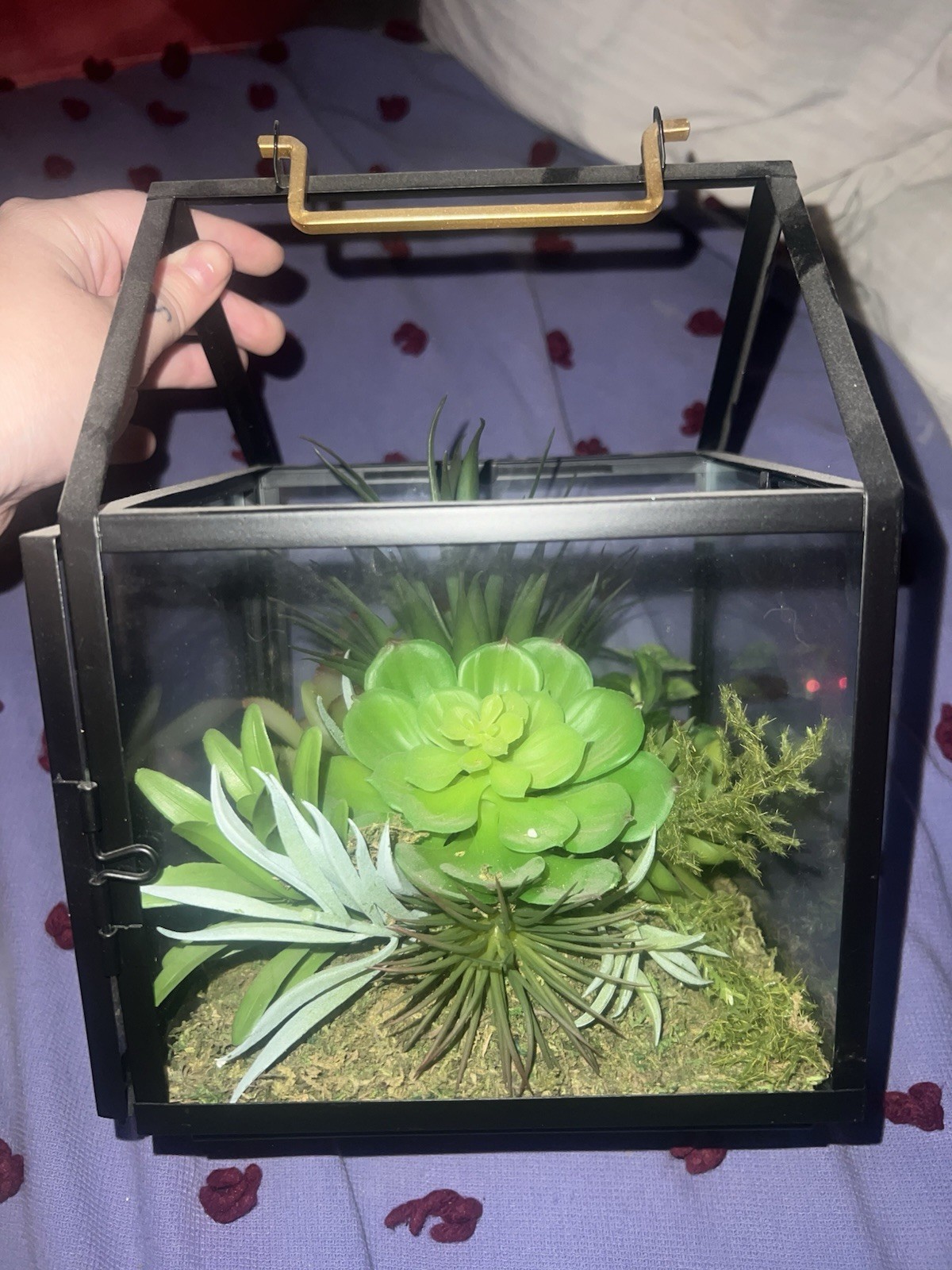 9 x 7 X 7 Metal And Glass Terrarium With Faux Succulent Plants