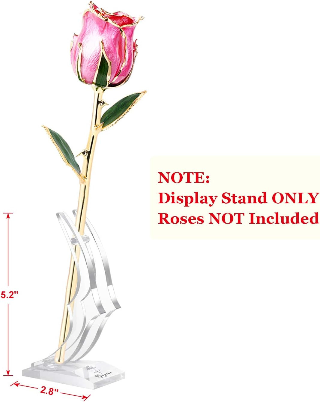 Gold Rose Display Stand, Acrylic Rose Holder for 24K Gold Dipped Rose, Plastic S