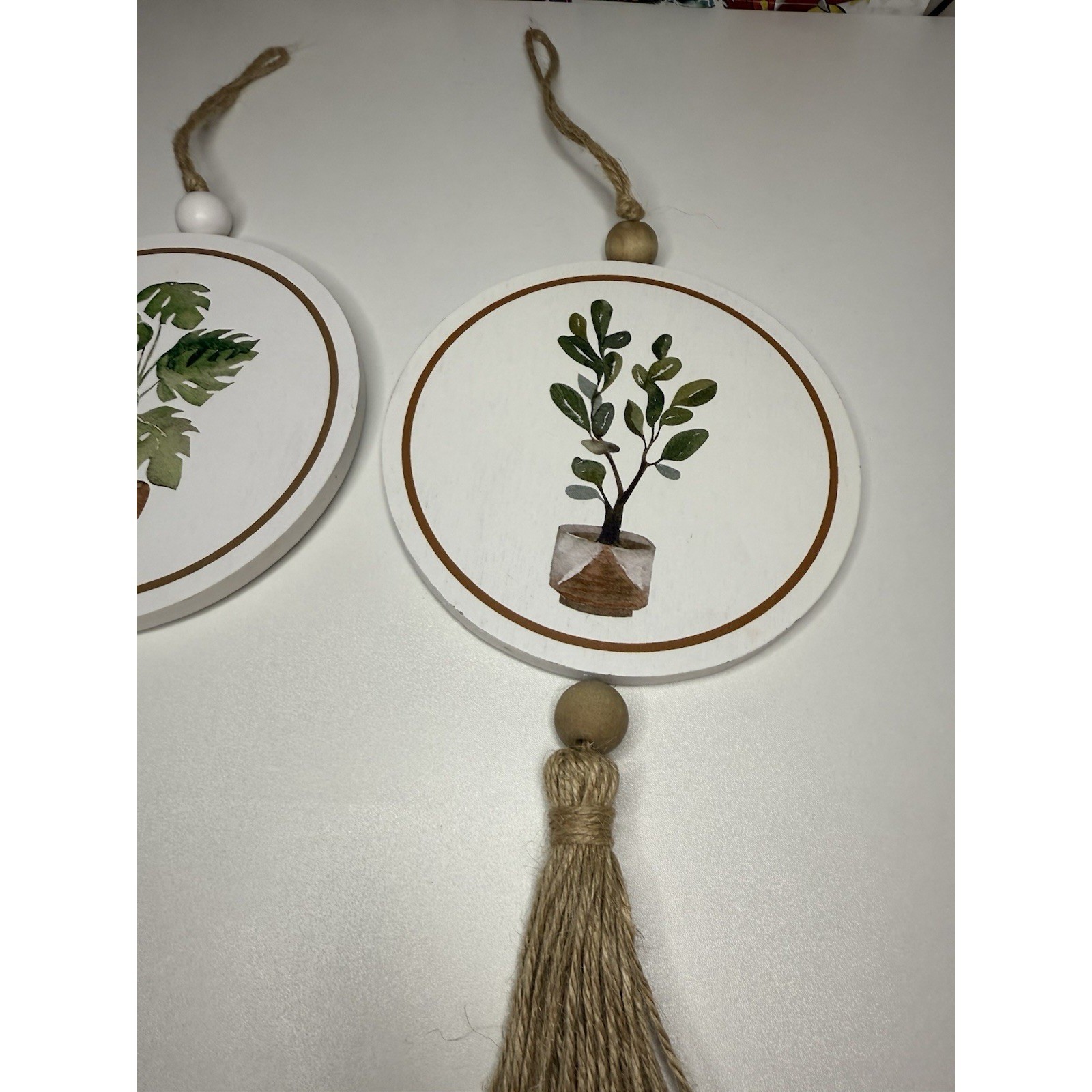 Set of 2 Wooden Plant Wall Hanging Decor Round Signs Tassel Boho Farmhouse