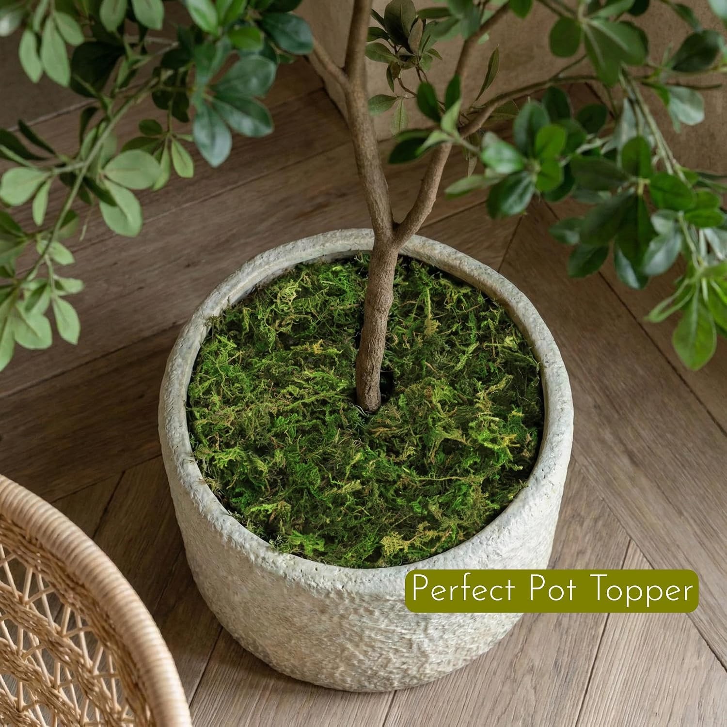 BYHER Fake Moss 4OZ – Moss for Crafts and Indoor Plants, Realistic Artificial