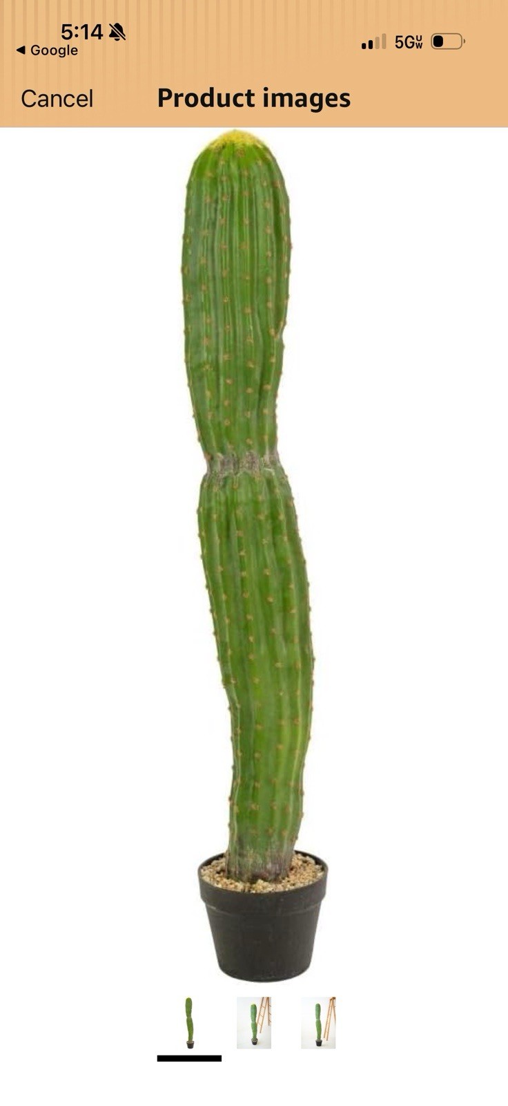 Artificial Cactus Set of 2 Faux Plant