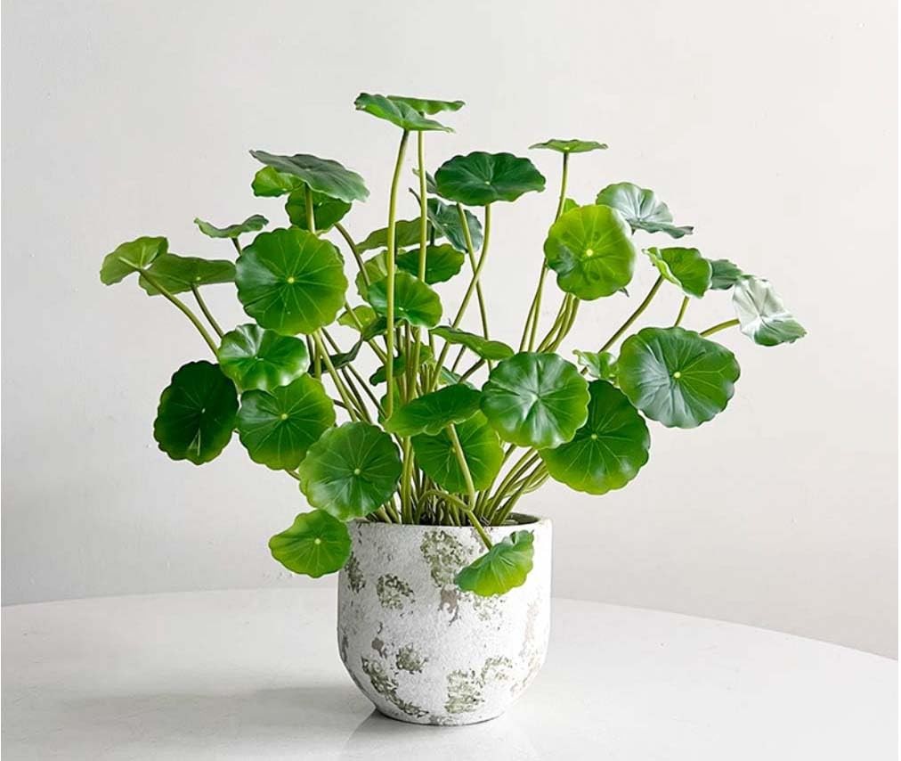 3pcs Small Fake Lotus Plants with Roofs and Leaves, Faux Greenery Stems for V