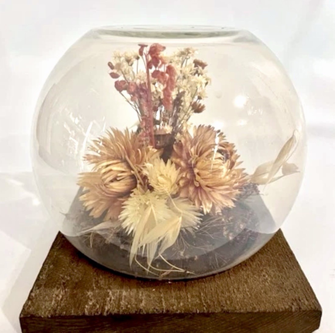 Vintage 60s Dried Flower Glass Terrarium Bird Floral Strawflower Daisy Bouquet