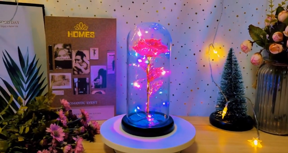Valentine’s Day Rose Gifts, Colorful Rose in a Glass Dome Valentine’s Day Gifts