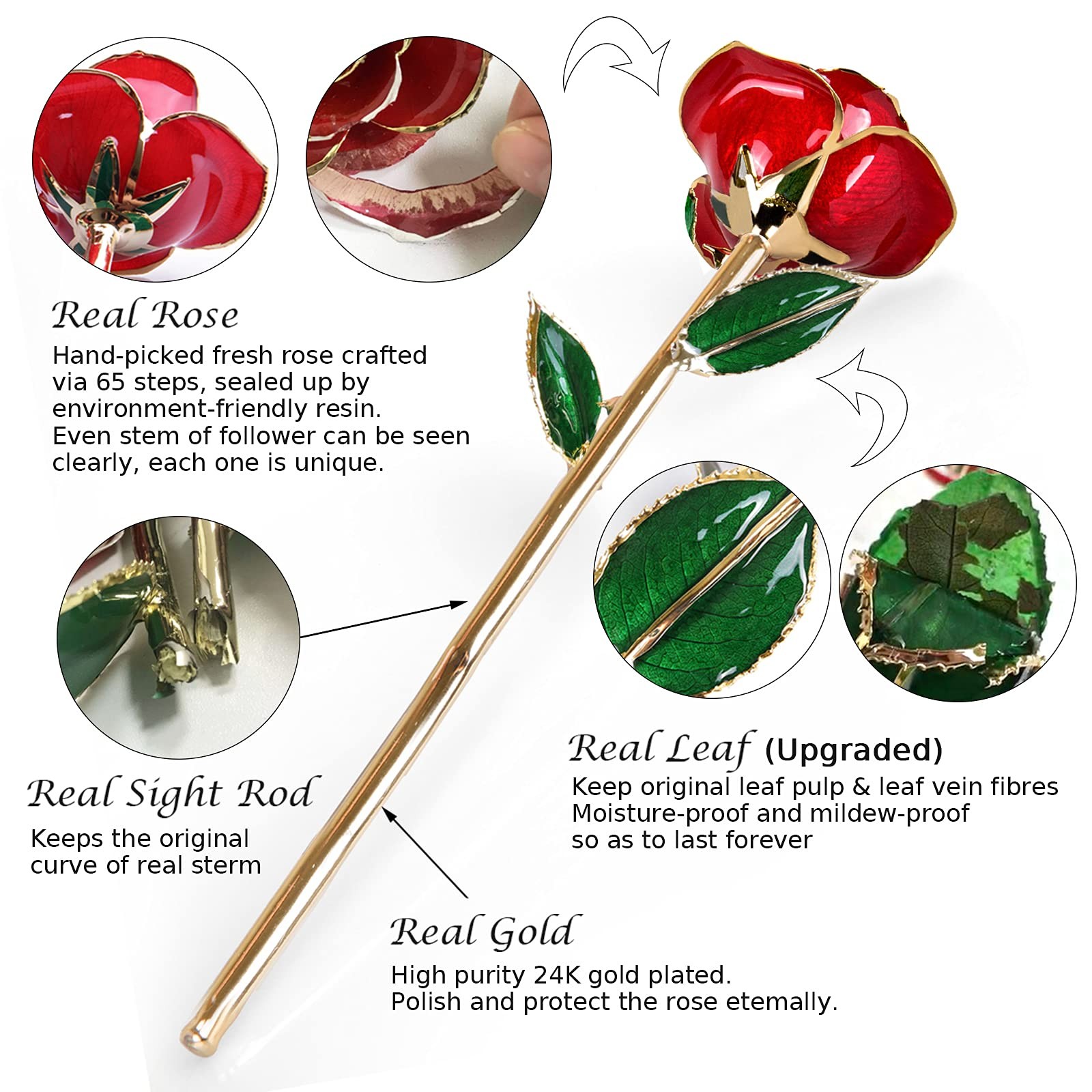 Sinvitron Gold Dipped Infinity Rose – Eternal Resin-preserved Rose |