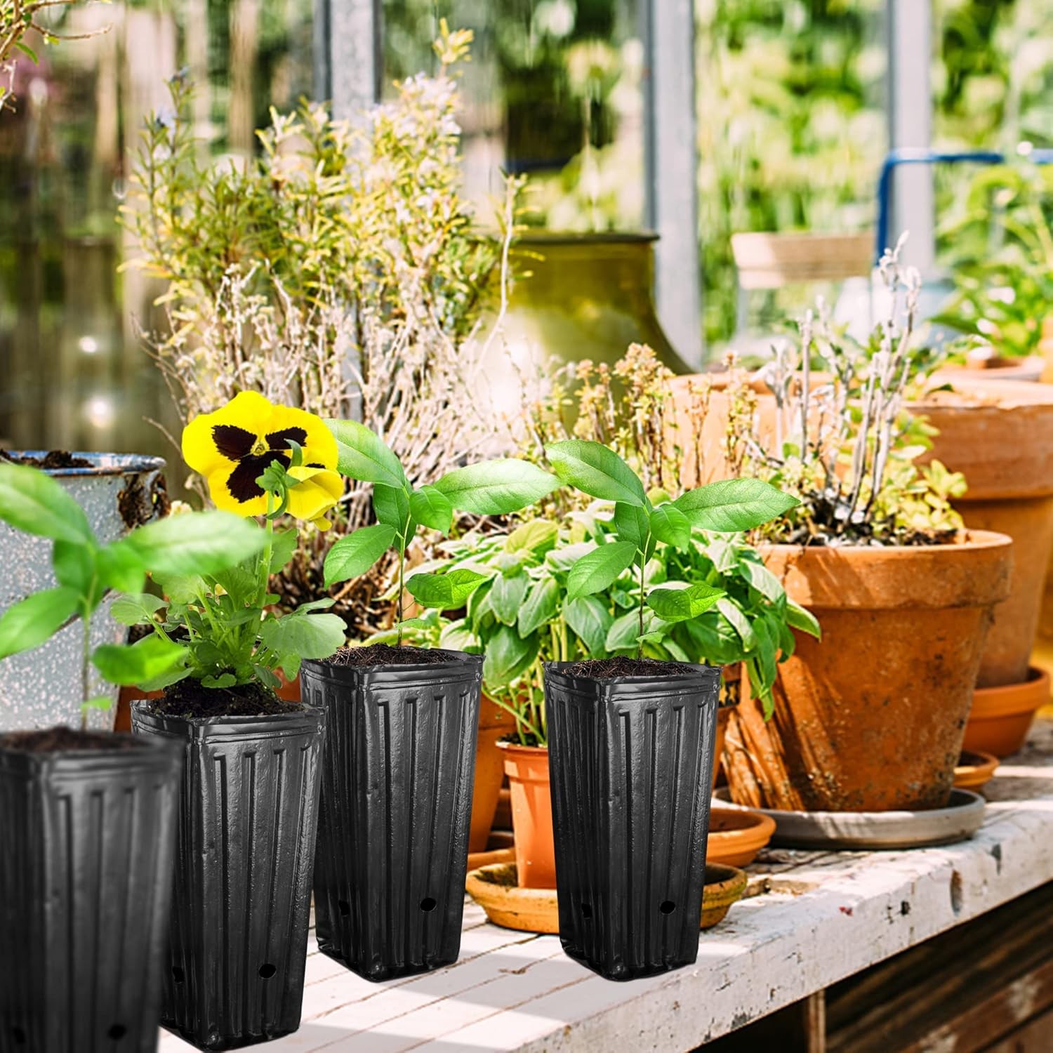 40Pcs Tall Tree Pots,Plastic Deep Nursery Treepots,7.8″ Tall Seedling Flower Pla