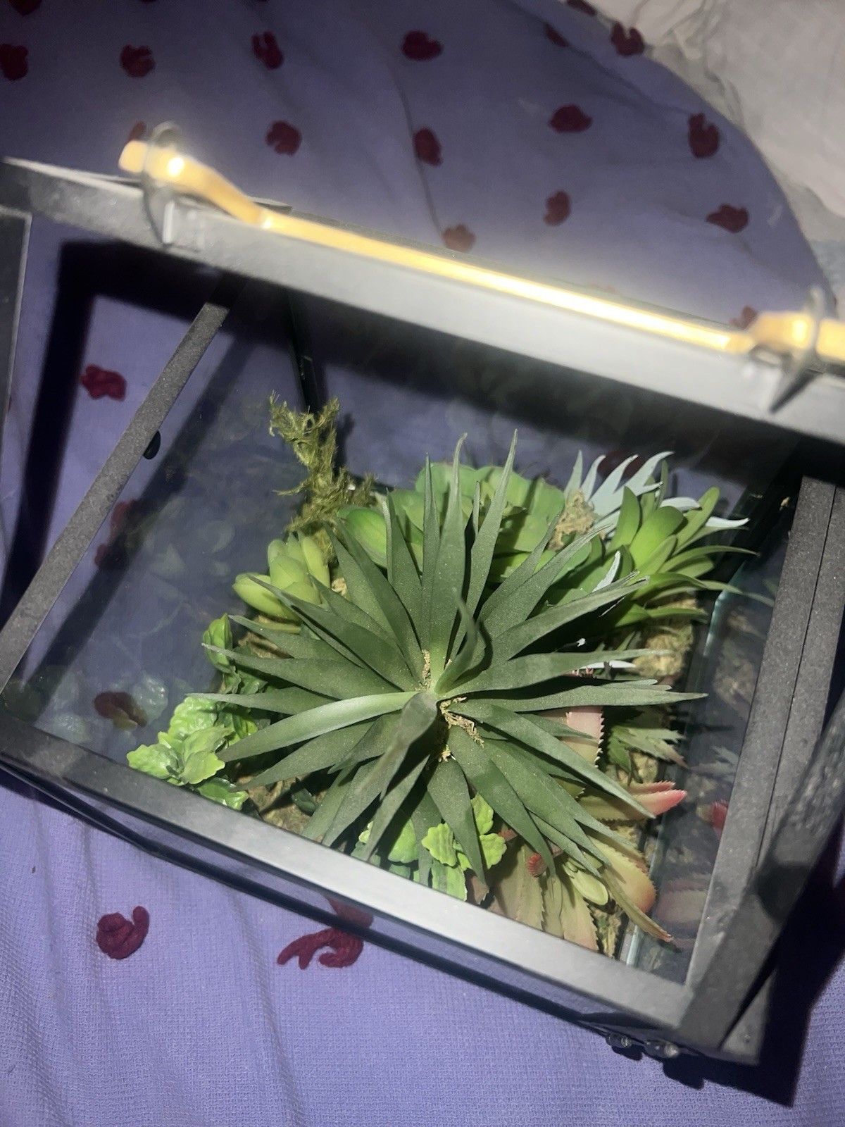 9 x 7 X 7 Metal And Glass Terrarium With Faux Succulent Plants
