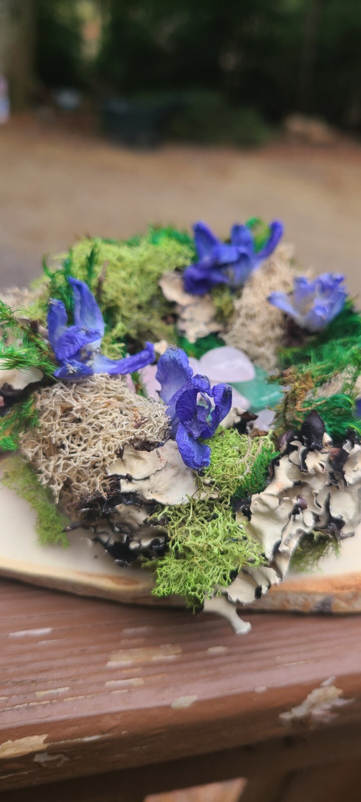 Spring Decor. Bird Nest With Moss Dried Flowers And Crystals. Resting On Wood.