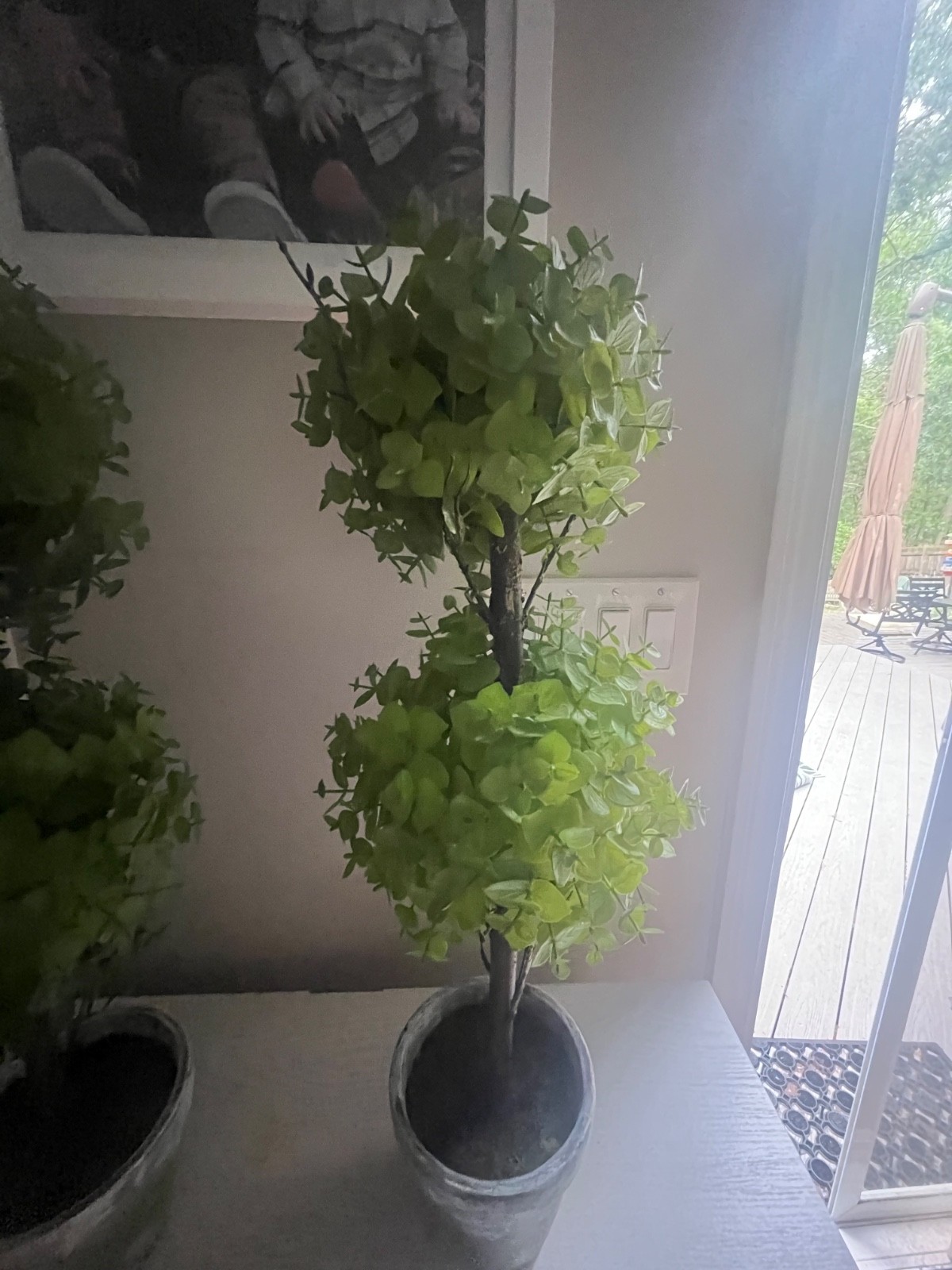 Faux boxwood topiary trees Set of 2, 23 inches in height