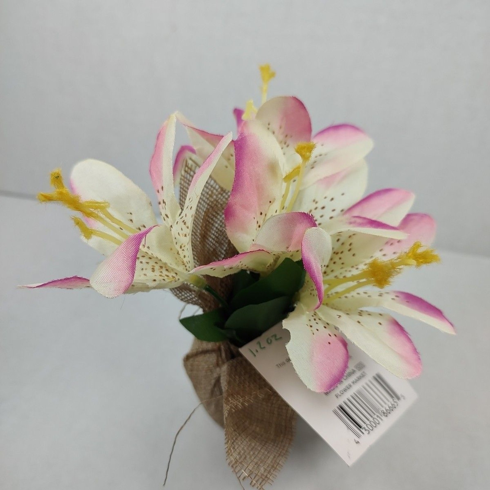 Trueliving Floral Arrangement Flower Bouquet Mini Potted Plant 6″ x 5″ Lily