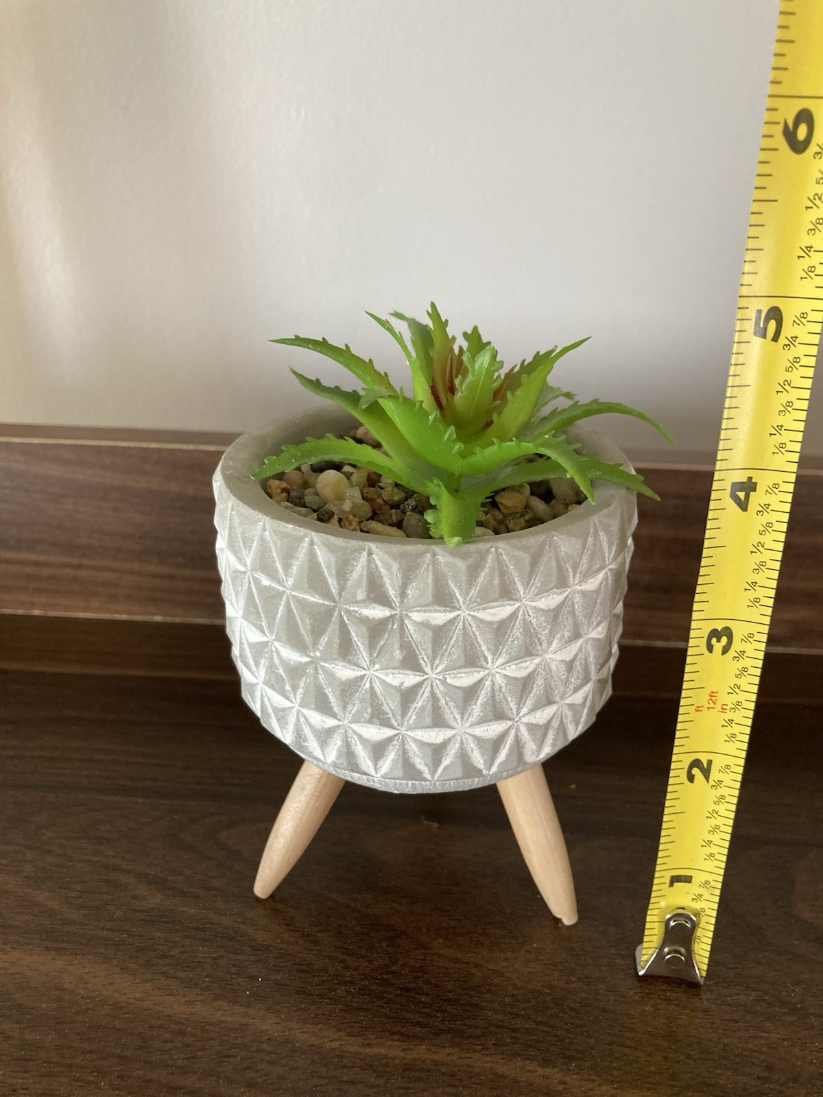 Succulent Tabletop Decor