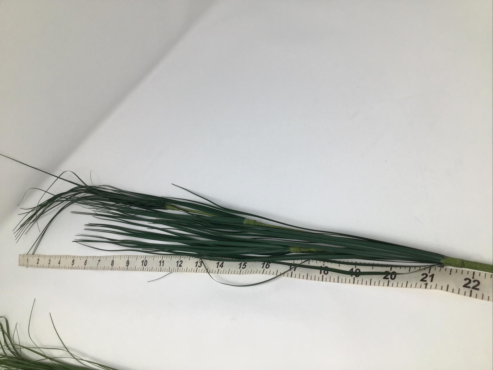 Onion Grass Floral Pick 34” Vase Basket Filler 2 Picks Vintage
