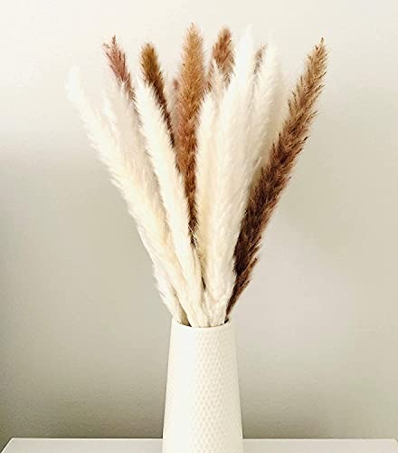 30 Pcs Pampas Grass ,17 inch/45 cm Natural Dried Pampas Grass Branches White