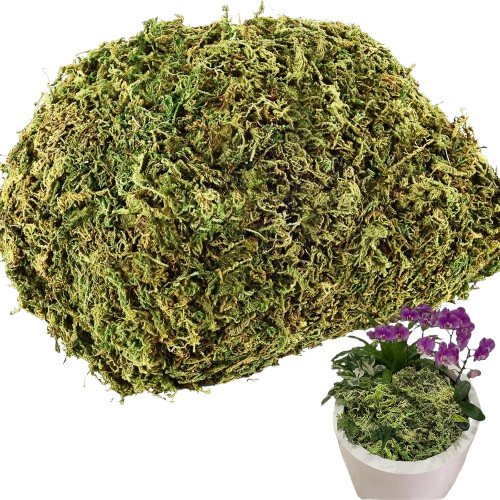 4.1OZ Fake Moss for Potted Plants and Fake Plants – Artificial Moss 4.1 ounces