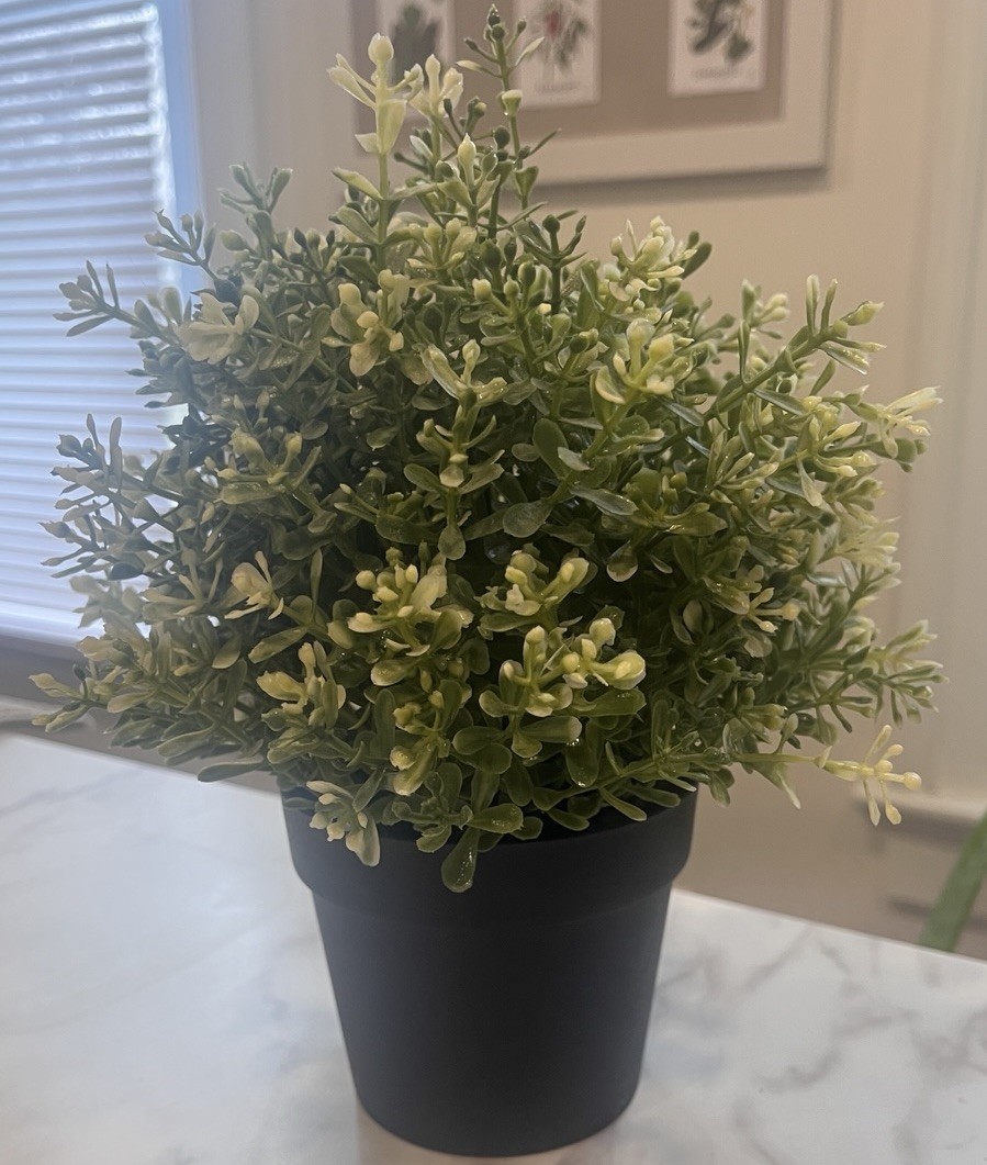 Artificial Plants Set of 2 • Home Decorations