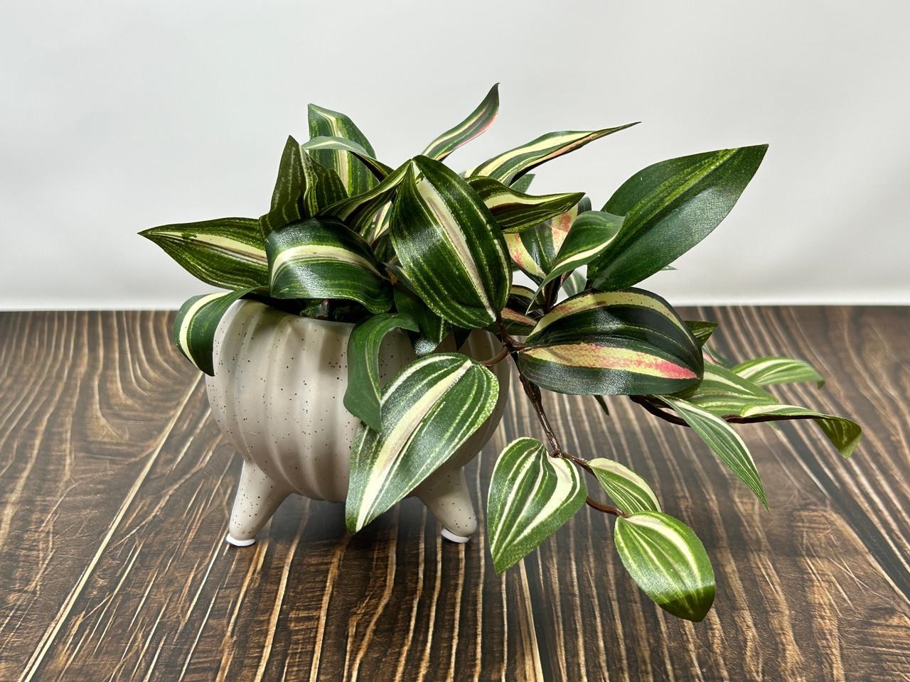 6″ Small PINK JEW faux Silk INCH plant potted in Matte Dot White Ceramic Pot, ha