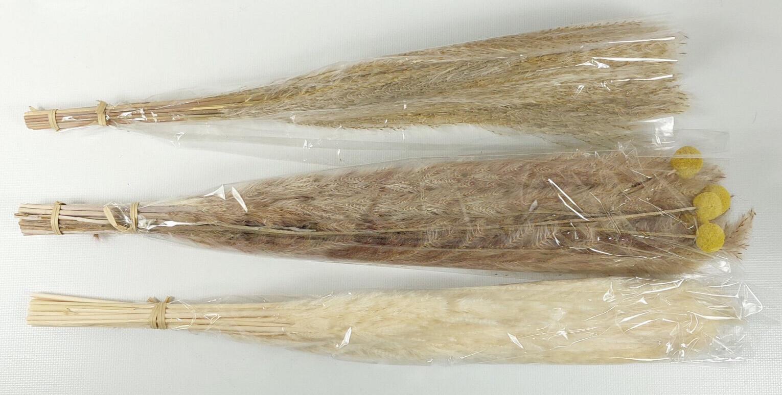 GLICRILI 65 Piece Natural Dried Pampas Grass Bouquet