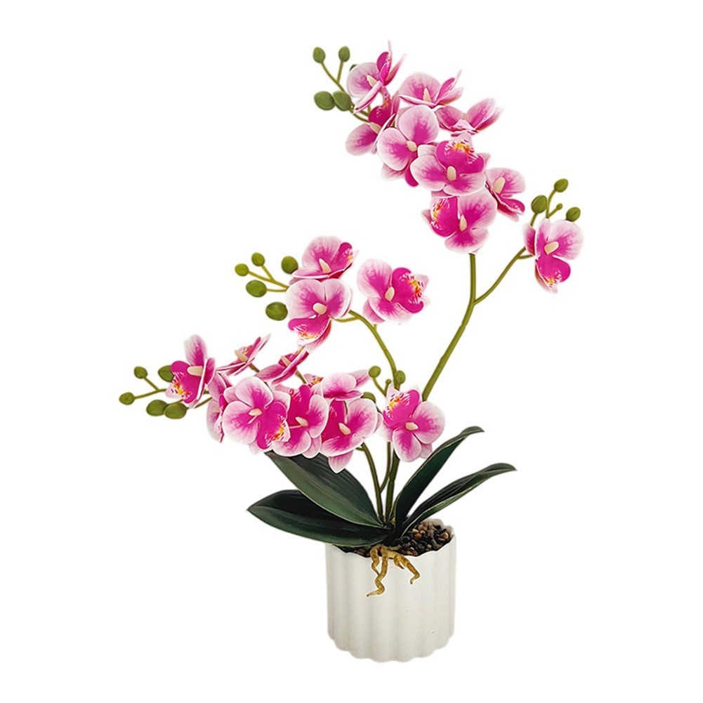 Phalaenopsis Plant Artificial Orchid Plastic for material No Watering Required