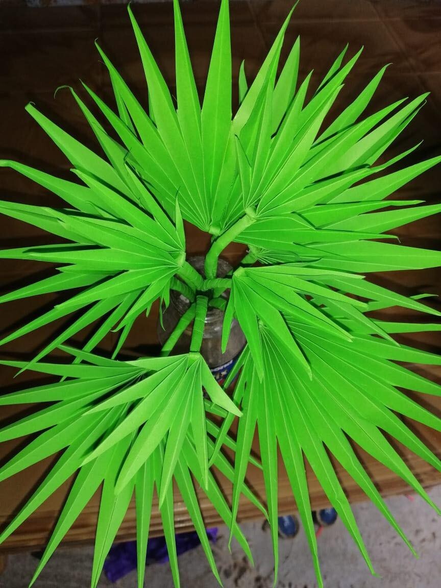 Paper flowers for Home decoration high quality free shipping