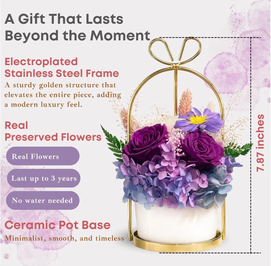 Menana Preserved Purple Rose Flower Arrangement White Pot and Hanger