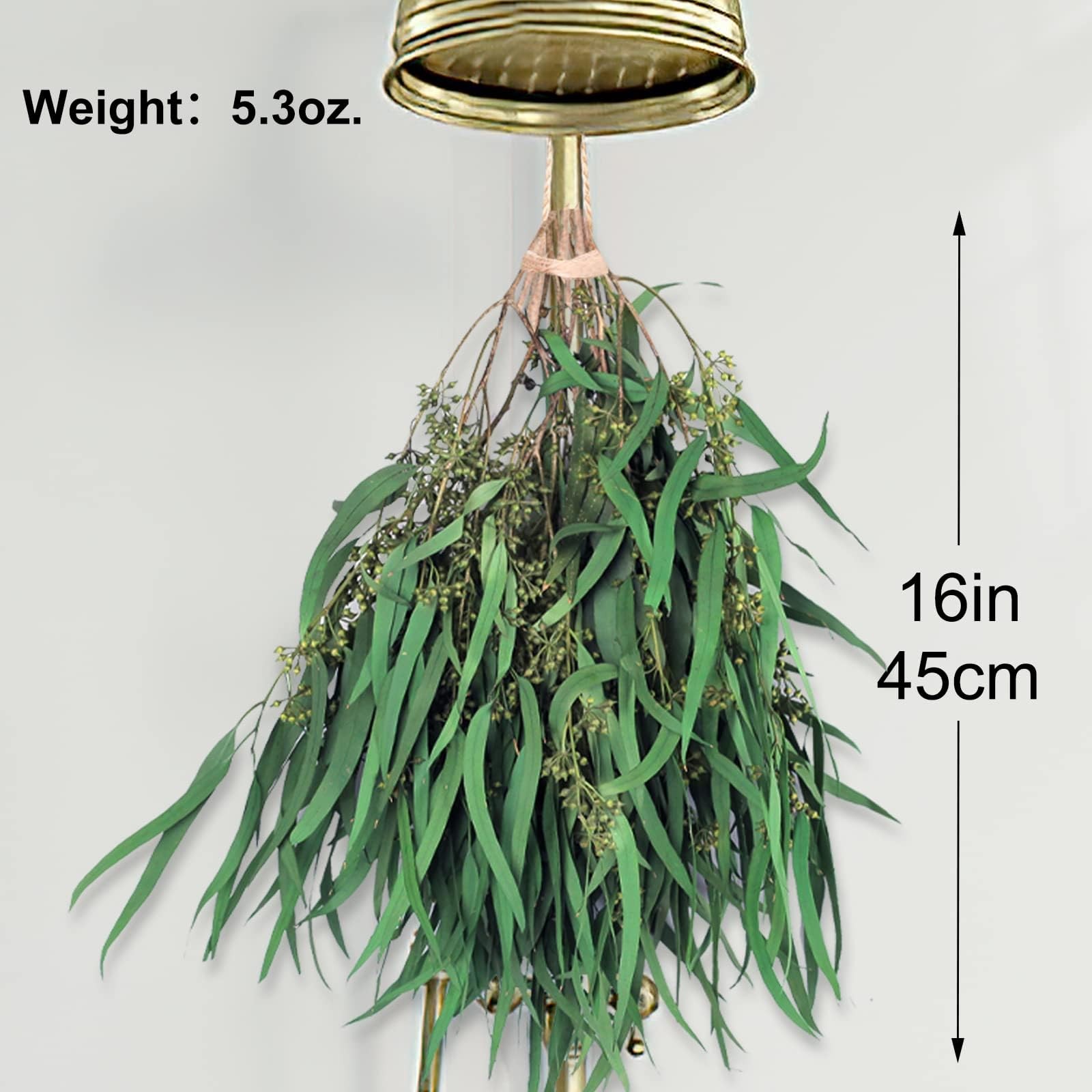 17” Real Dried Seeded Eucalyptus Stems for Shower, Preserved Natural Eucalyptus