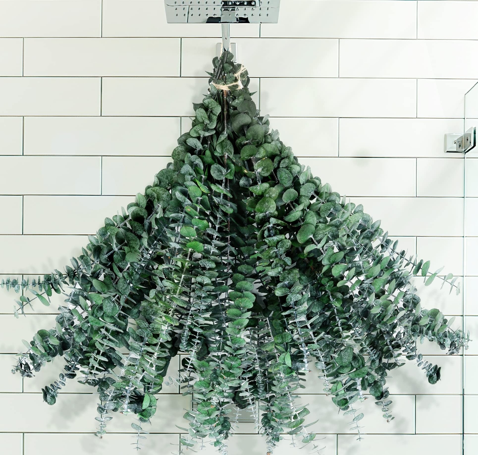 Large Package Dried Preserved Eucalyptus Stems Shower Bundle, 30 Pcs 17″ 100%…