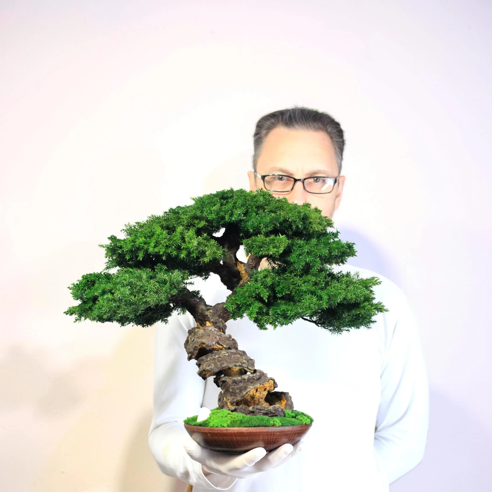 Preserved Juniper Bonsai – Handmade Interior Art Sculpture. 41 cm / 16,14″