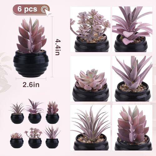 Set of 6 Fake Succulent Plants in Black Pot Artificial Pink Purple-black Pot