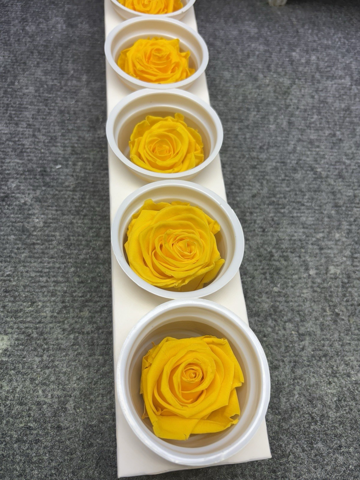Eternal Roses Bulk 10 Packs of 6