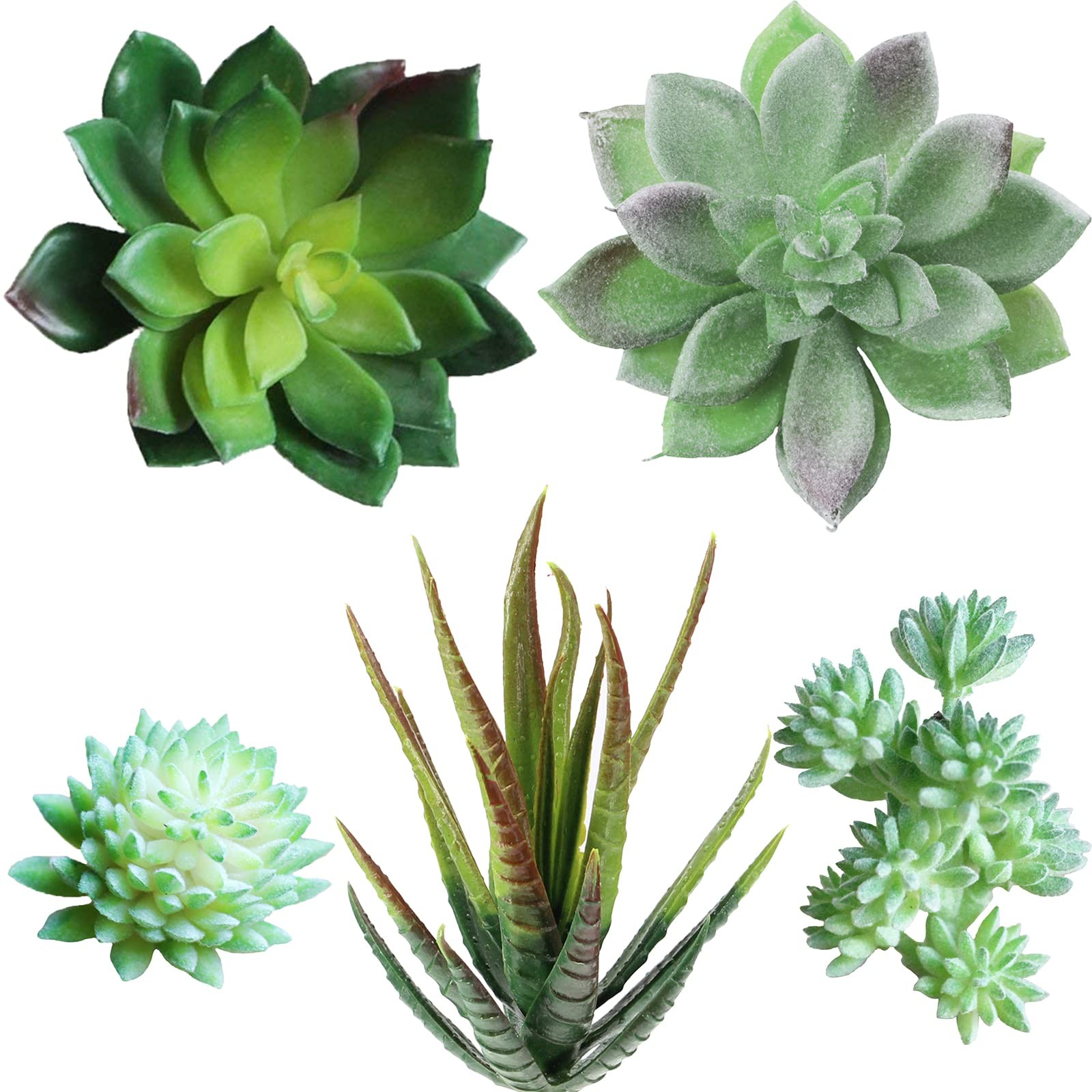 5 Pcs Assorted Artificial Succulents Plants Unpotted Small Green Cactus Echev…