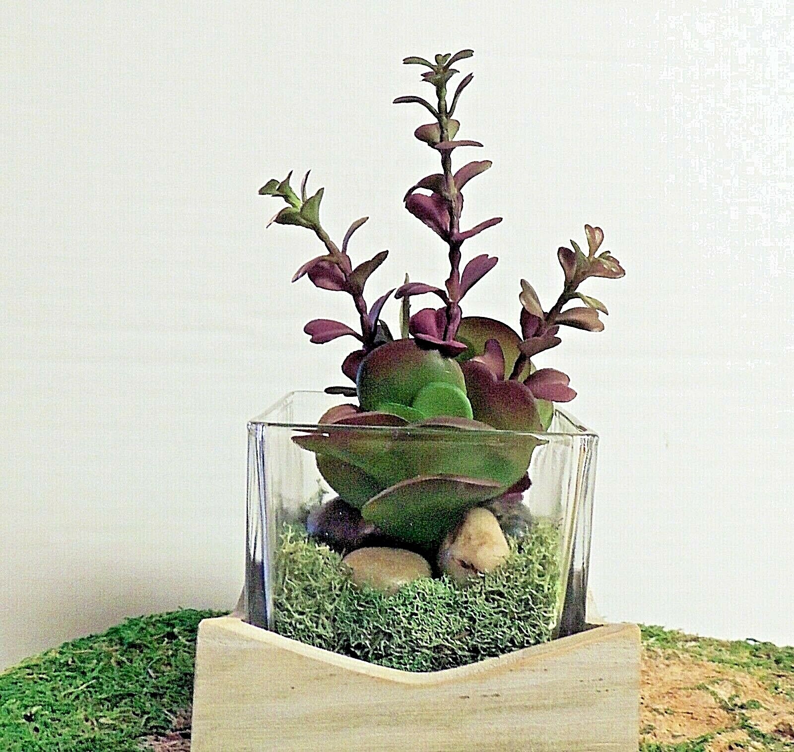 PRETTY FAUX SUCCULENT FLORALS in GLASS & WOOD CONTAINER NEW HANDMADE DECOR