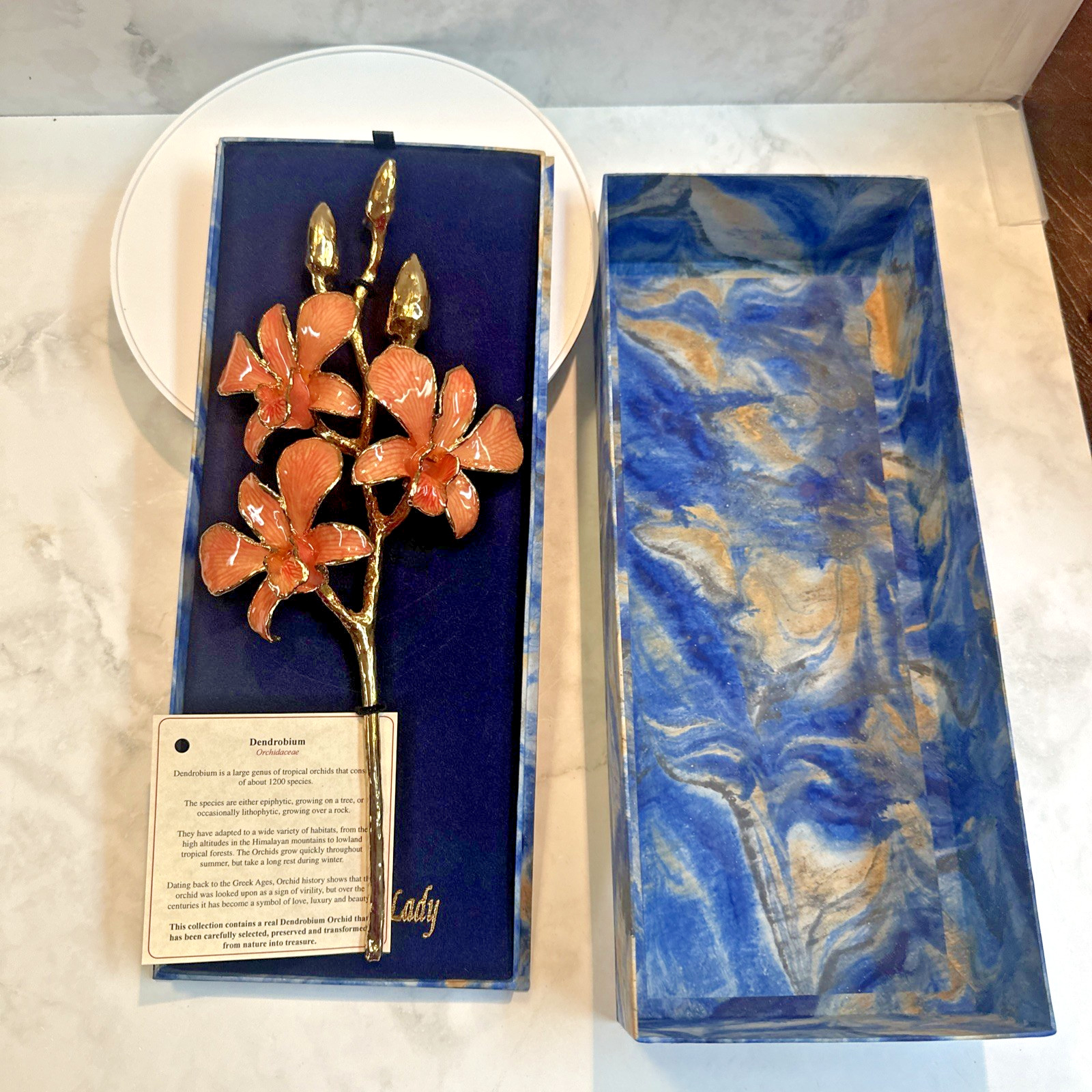 NEW The Rose Lady 24Kt Gold Dipped Long Stem REAL Dendrobium PINK Orchid