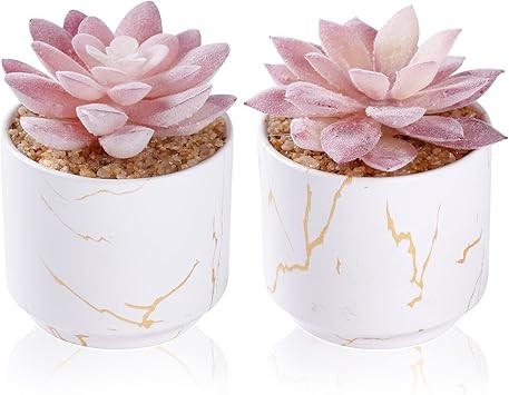 ZENIDA Artificial Plants and Succulents in 2 White Ceramic Pots,Small Fake Plant