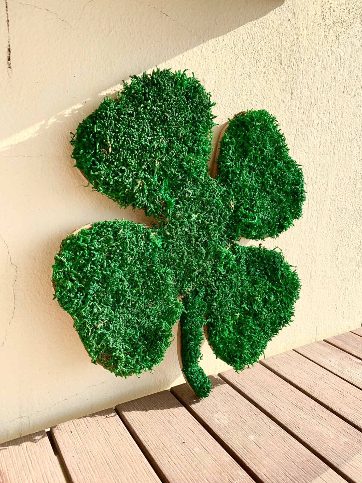 Moss Design , Green Preserved Moss , Clover Leaf Wall Art Home Decor Wall Live