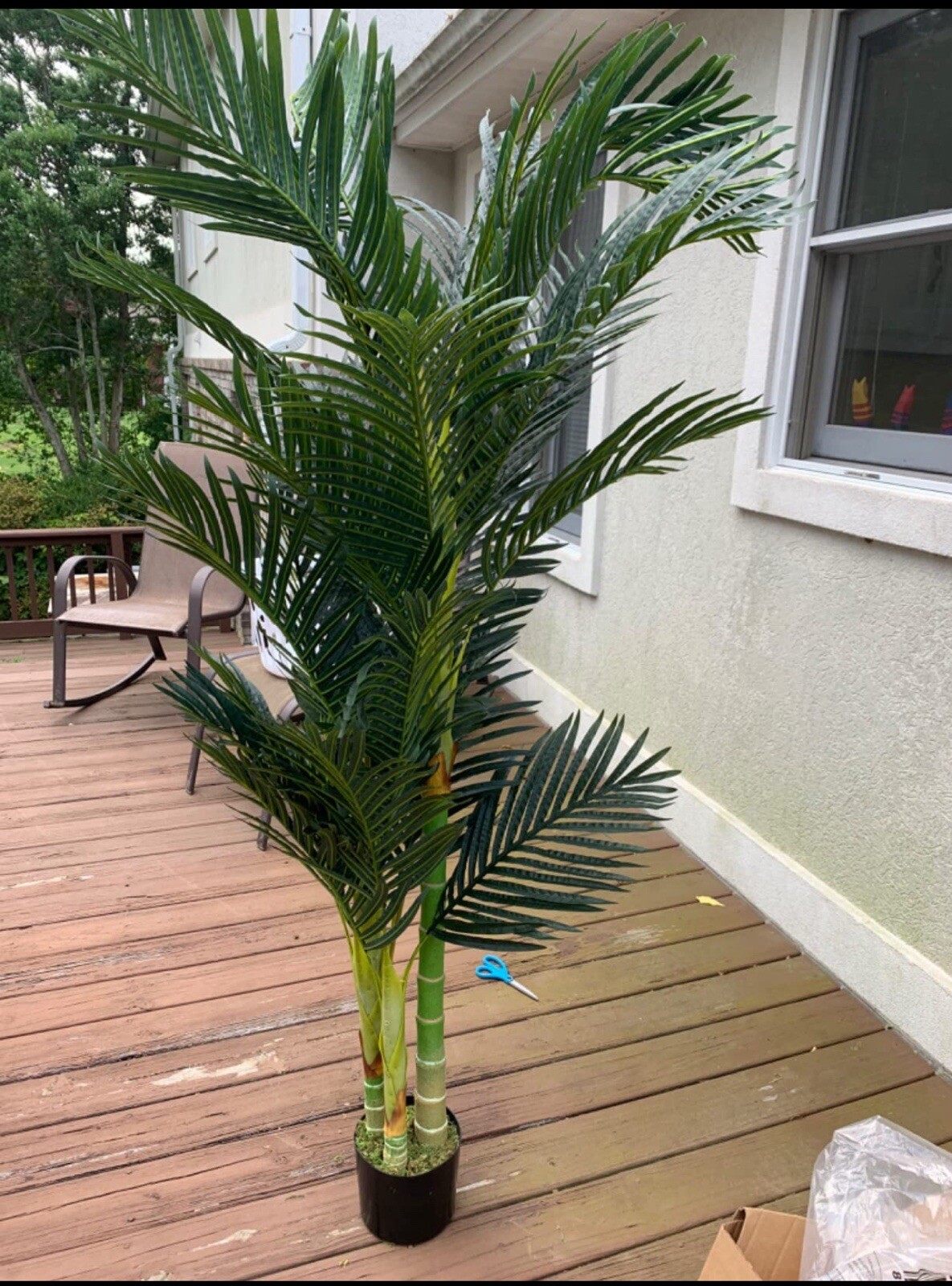 6.5′ Double Trunk Golden Cane Artificial Palm Tree Home Decor.