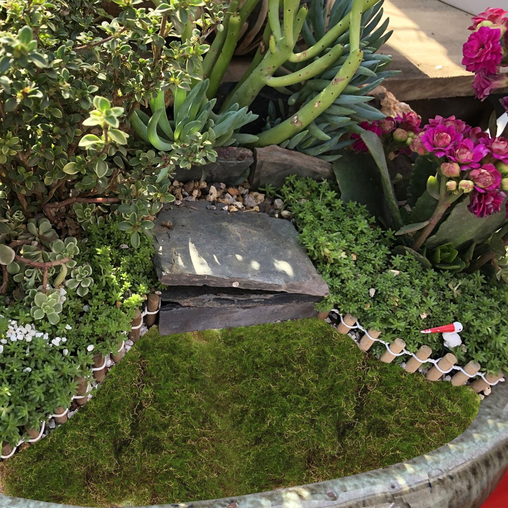 Moss for Plants Indoor Decorative Artificial Turf Terrace Decoration